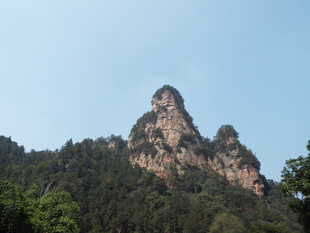 巍峨山峰屹立于葱郁林间