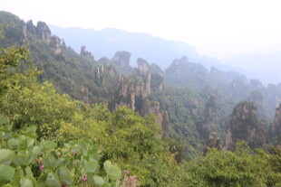 张家界奇峰异林景观