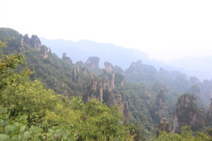 山林景观 绿意盎然的自然