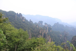 壮美山林景观