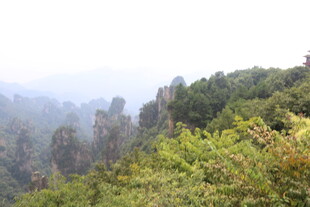 壮美山林景观