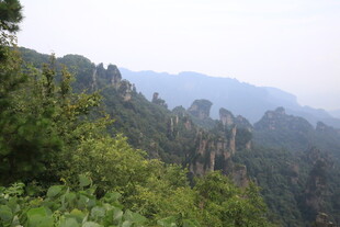 山林葱郁的自然景致