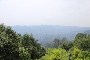 山林葱郁的自然景致