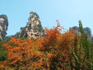 秋日山林中的奇峰异景
