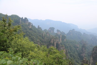山林景色远眺