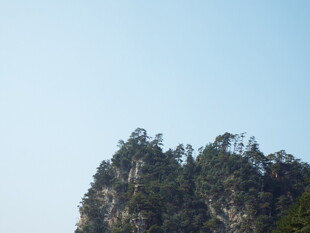 峻峭山峰上的茂密树林