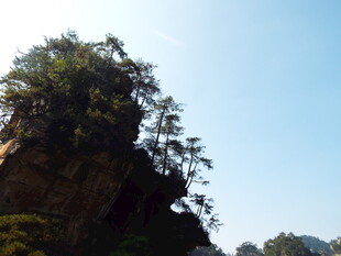 峻峭山峰上的葱郁植被