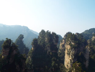 张家界奇峰景观