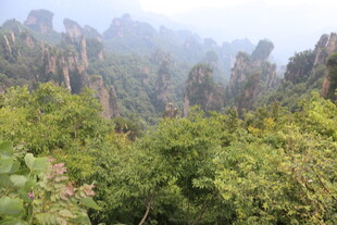 张家界奇峰异石植被繁茂