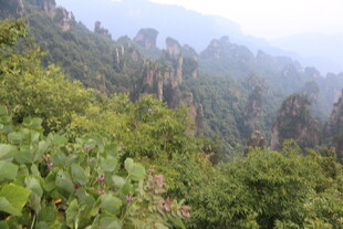 山林葱郁的壮美自然景观