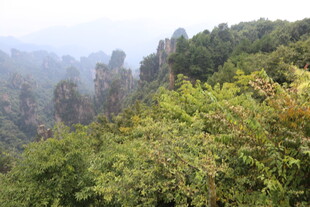 山林奇峰景观