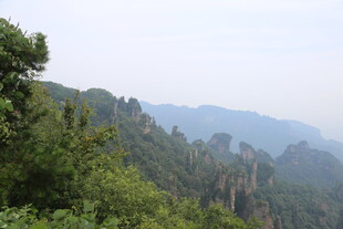 壮美山林景观