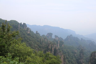 壮美山林景观