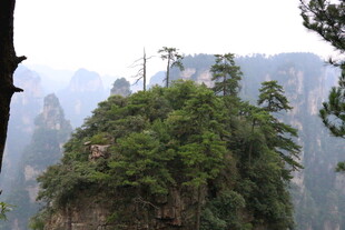 奇峰绿树间的壮美山景