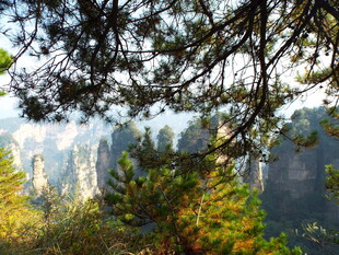 山林间的壮丽奇峰景色