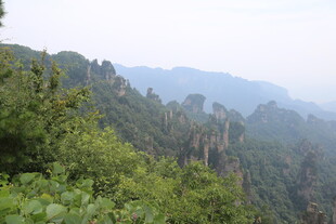 壮美山林景观