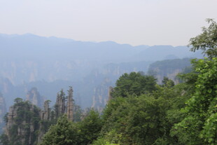 山林远景 绿意盎然