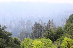壮美山林景观