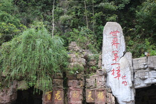 山林中的刻字石碑