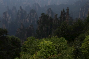 壮丽山林景观