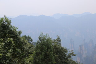 山林间的朦胧远山景色