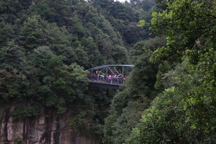 峡谷间的悬索桥景观