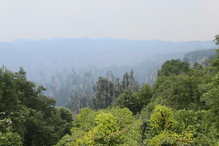 山林葱郁景色