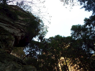 山间岩石与茂密树林景观