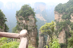 张家界奇峰美景