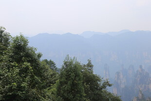 山林远景 绿意盎然