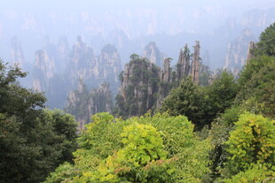 张家界奇峰林立绿意浓