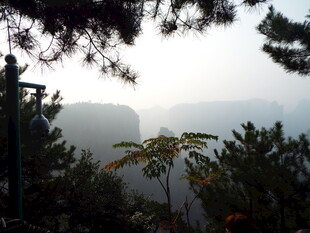山间雾霭中的植被景观