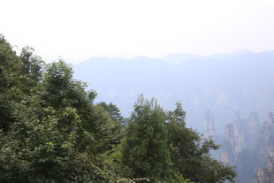 山林景色 远山近树