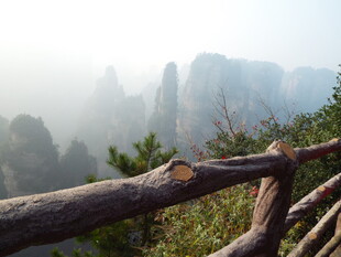 张家界奇峰美景