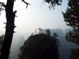 山间飞鸟与峻峭山峰