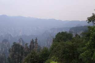 张家界奇峰异林美景