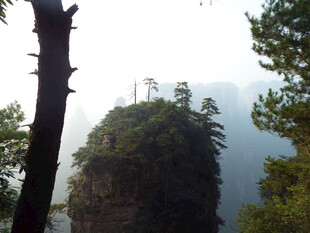 奇峰耸立的山林景观