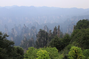 山林景致 雾霭中的绿意