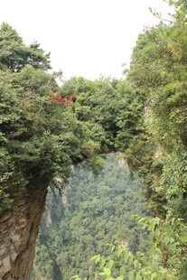 山间奇景 悬空桥梁穿林而过