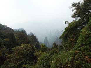 山林云雾间的绿意景致