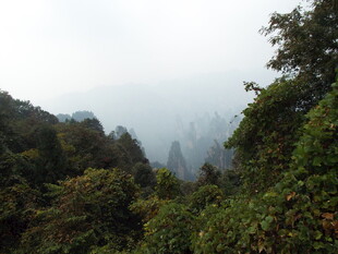山林云雾间的自然景致