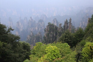 云雾缭绕的山林美景