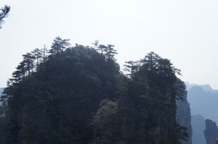 张家界奇峰景观