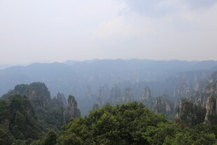 张家界奇峰异林景观