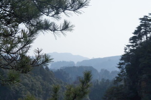 山林景致 远峰近树