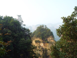 秀丽山峰与茂密植被景观