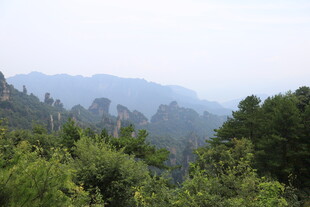 山林葱郁间的朦胧远山