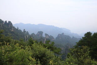 山林景致 绿意盎然的自然