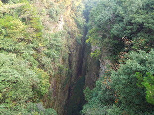 峡谷绿意盎然的自然景观
