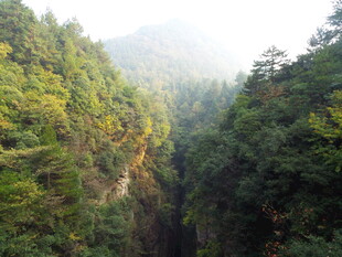 山间葱郁峡谷美景
